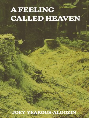 cover image of A Feeling Called Heaven